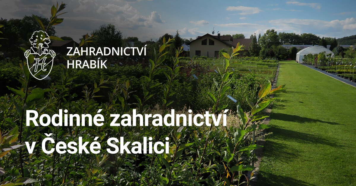 Ceske Zahradnictvi (organickou hmotu, přímého slunce, vodu živiny, částice díky) Ceske Zahradnictvi